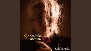 Video thumbnail of "Koji Tamaki - ホームレス"