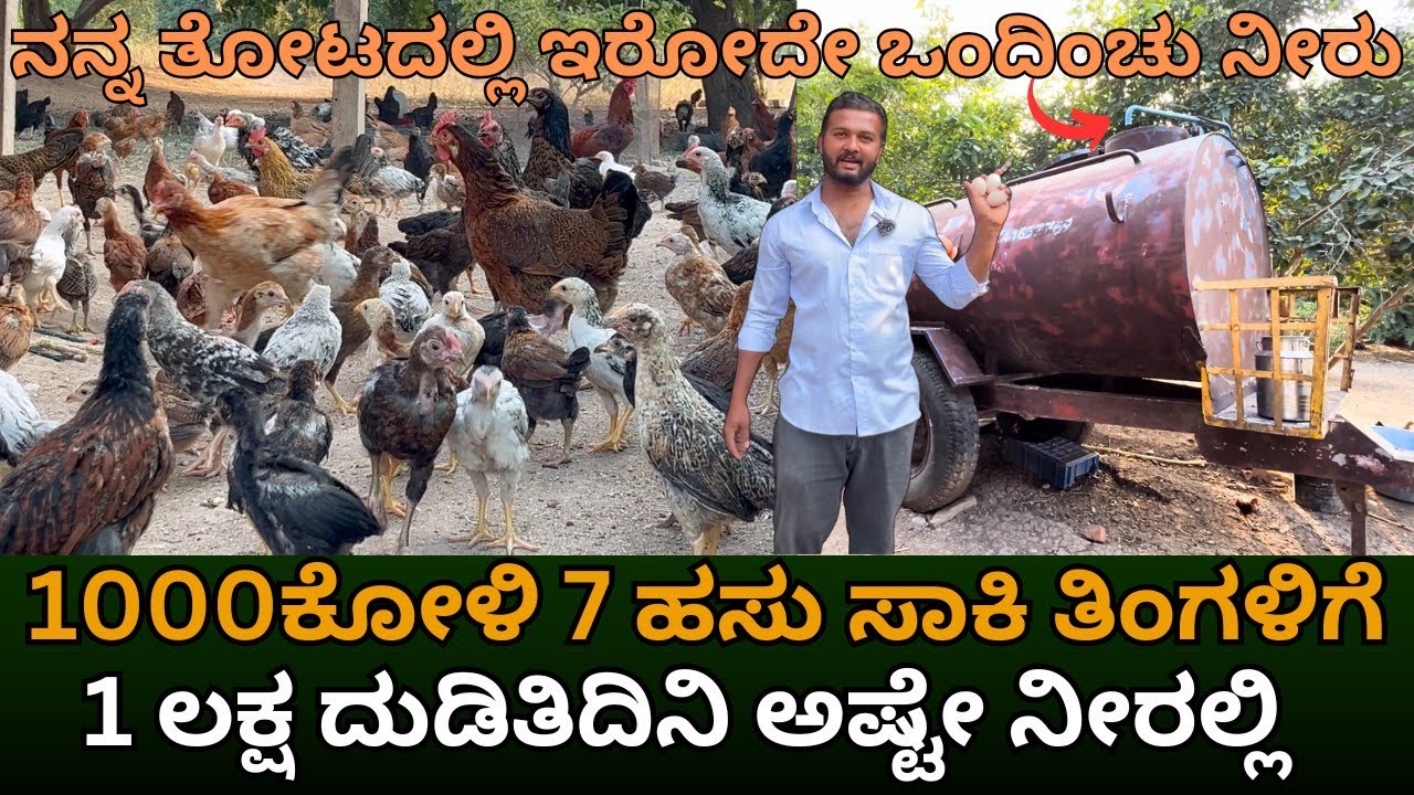 1000 ಕೋಳಿ 7 ಹಸು ಸಾಕಿ ತಿಂಗಳಿಗೆ 1 ಲಕ್ಷ ದುಡಿತಿದಿನಿ ಅಷ್ಟೇ ನೀರಲ್ಲಿ||NAATI CHICKEN FARMING IN KANNADA