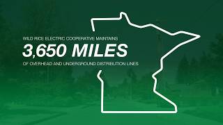 Davey Utility Solutions Utility Vegetation Management | Wild Rice Electric Cooperative