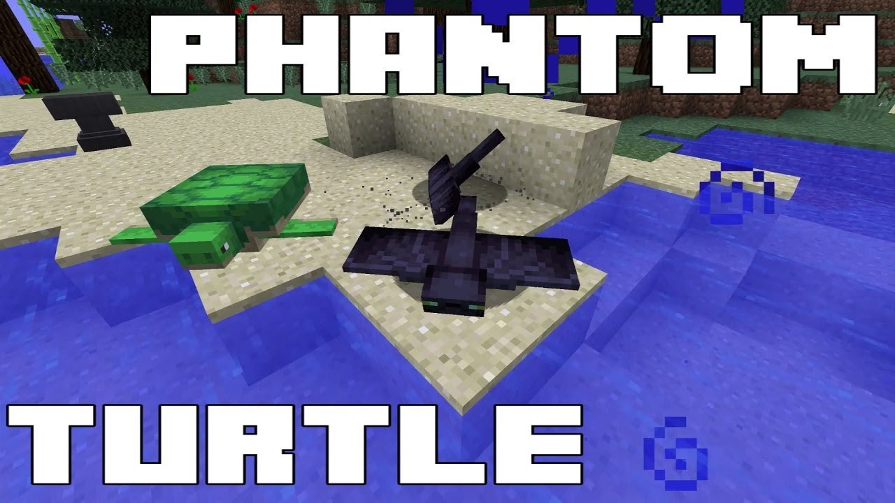 MINECRAFT UPDATE AQUATIC - NEW MOBS TURTLE & PHANTOM - YouTube