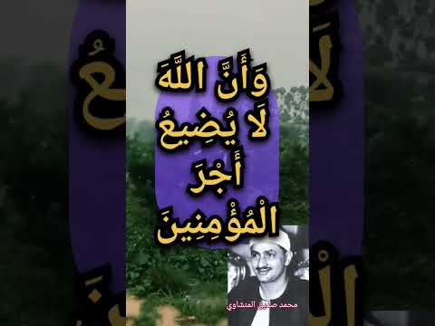 يستبشرون بنعمة من الله وفضل وأن الله لا يضيع أجر المؤمنين محمد صديق المنشاوى سورة آل عمران