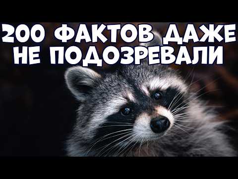 200 ИНТЕРЕСНЫХ ФАКТОВ, О КОТОРЫХ ВЫ ДАЖЕ НЕ ПОДОЗРЕВАЛИ