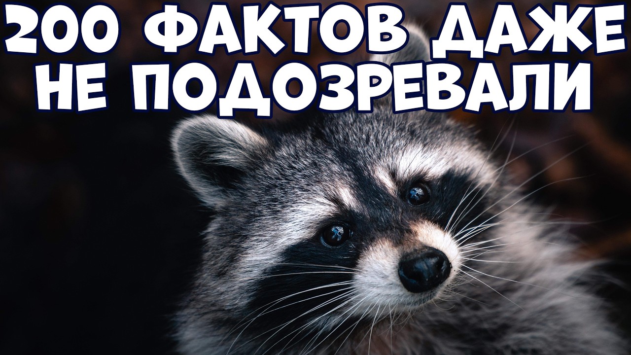 200 ИНТЕРЕСНЫХ ФАКТОВ, О КОТОРЫХ ВЫ ДАЖЕ НЕ ПОДОЗРЕВАЛИ
