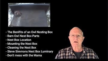 Building Barn Owl Boxes