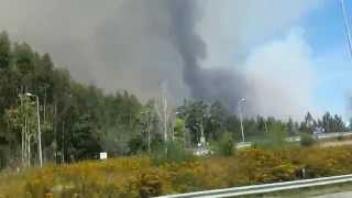 Imágenes del gran incendio de Aveiro y Viseu (Portugal) en 2015