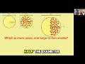 Math Lesson #2 -- Area of a Circle (which is more pizza, one large or two smalls?)