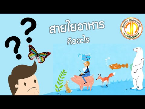 ตอนที่ 10 สายใยอาหารคืออะไร