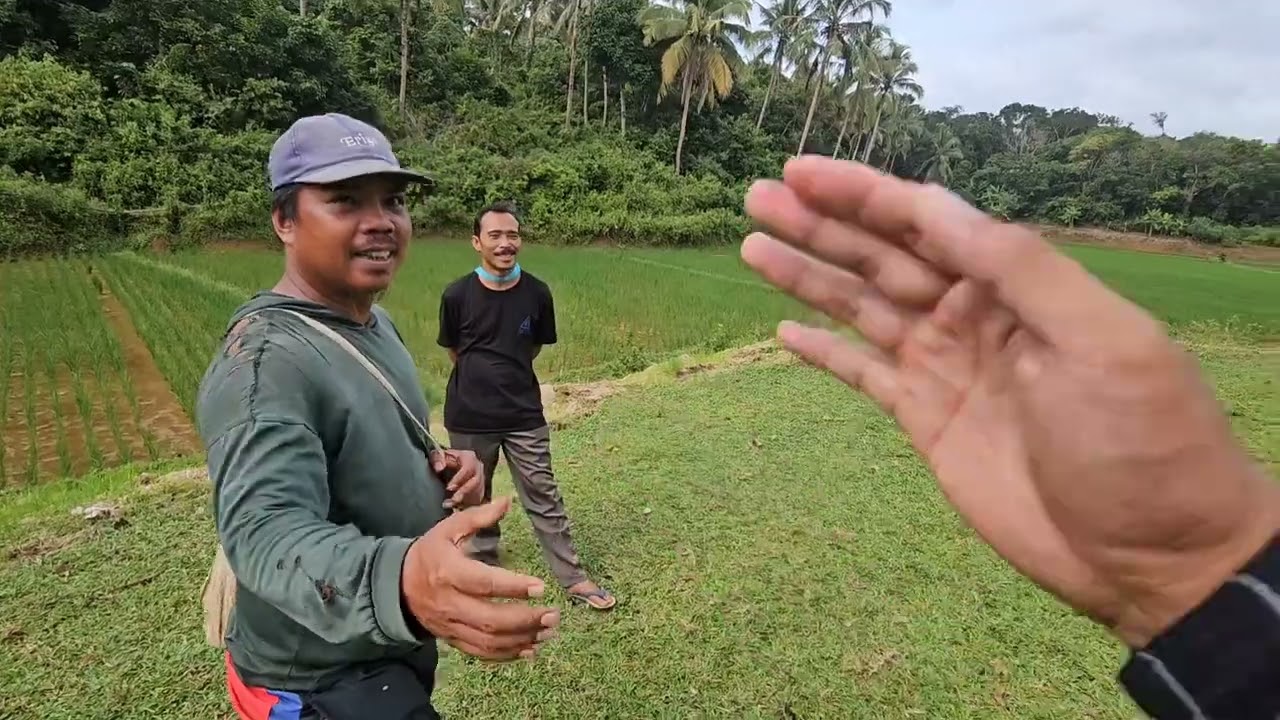 Di jual cepat tanah murah dan luas legalitas SHM #jualtanah #properti #investasitanah