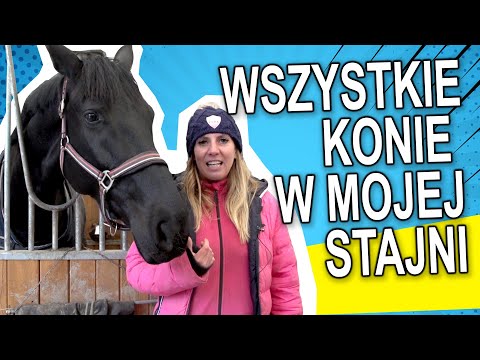 Wideo: Czy kulawy koń powinien być w stajni?