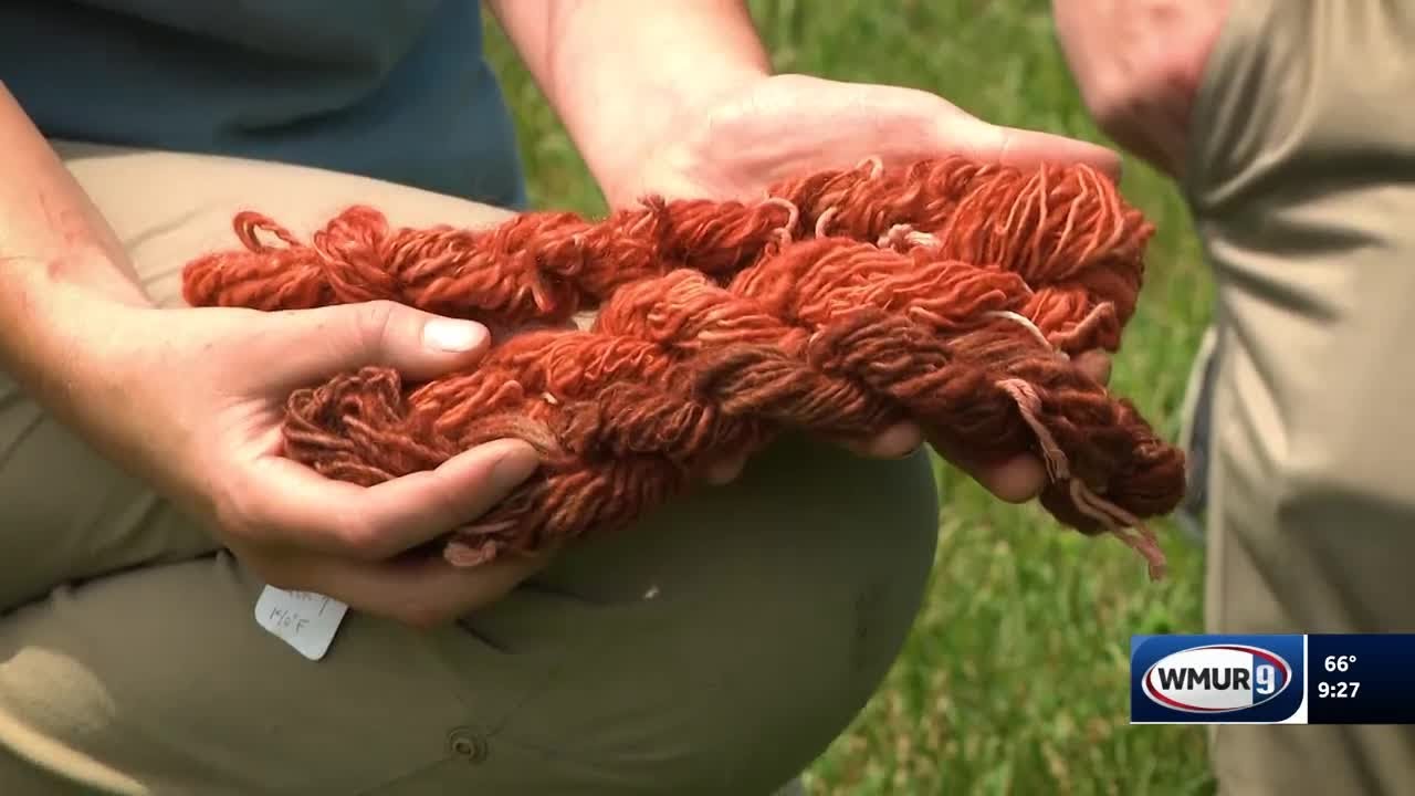 Grow it Green: Growing dye plants in your home garden