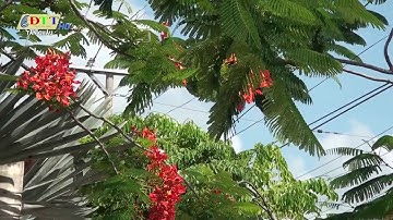 NGÀNH GIÁO DỤC VÀ ĐÀO TẠO THỊ XÃ TÂN CHÂU THÀNH TỰU QUA 10 NĂM