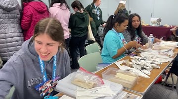 Philanthropy Event at Northeastern University