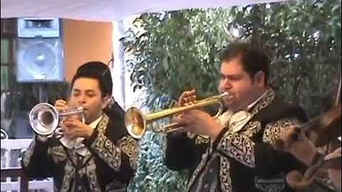 Thumbnail of Mariachi Internacional los Perez son del jabali