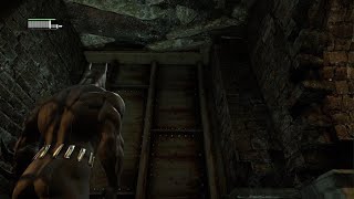 Batman: Return to Arkham - Arkham City: Hidden Dialogue #11