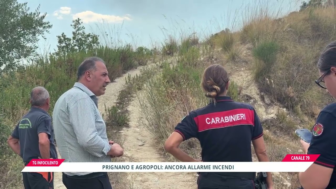 Incendio tra Agropoli e Prignano: fiamme ai margini della Sp45