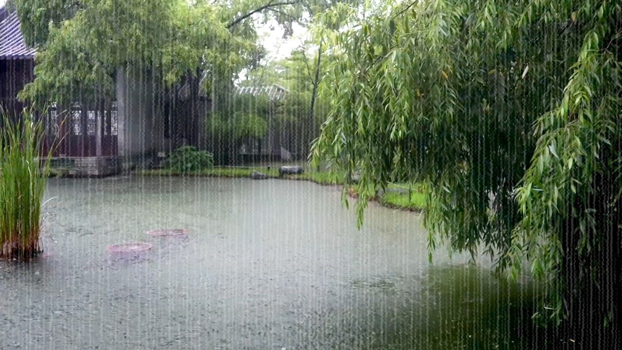 Мой собственный способ исцеления: слушание звуков дождя — расслабляющий дождь у пруда.