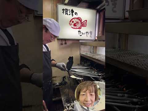 Nezu Taiyaki and Nezu Shrine 根津のたい焼きと根津神社