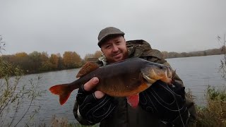 картинка: КОРОЧЕ🫵ТАК!!!РЫБАЛКА ПОГОНЯ ЗА ПОЛОСАТЫМ🎣🔥