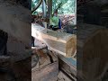 proses bikin papan kayu jati super #woodworking