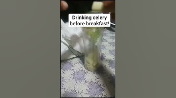 DRINKING CELERY BEFORE BREAKFAST#celery#juice#satisfying#asmr#sounds#shorts