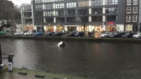 Video: Zo redden vier mannen een vrouw en kind uit de gracht