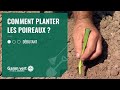 [TUTO] Comment planter les poireaux ? – Jardinerie Gamm vert