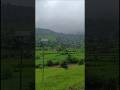 Beautiful 🏞️☘️🌱🌲#shortvideo #nature #beautiful #ytshorts