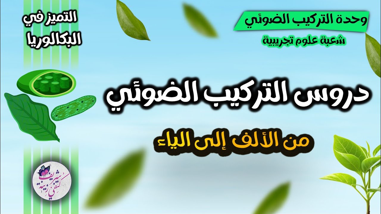 🍀التركيب الضوئي 🍀كل ما تحتاجه  من الألف إلى الياء | بكالوريا 🔥