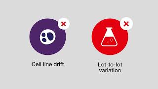 What Are Recombinant Antibodies Improve Reproducibility with Thermo Fisher