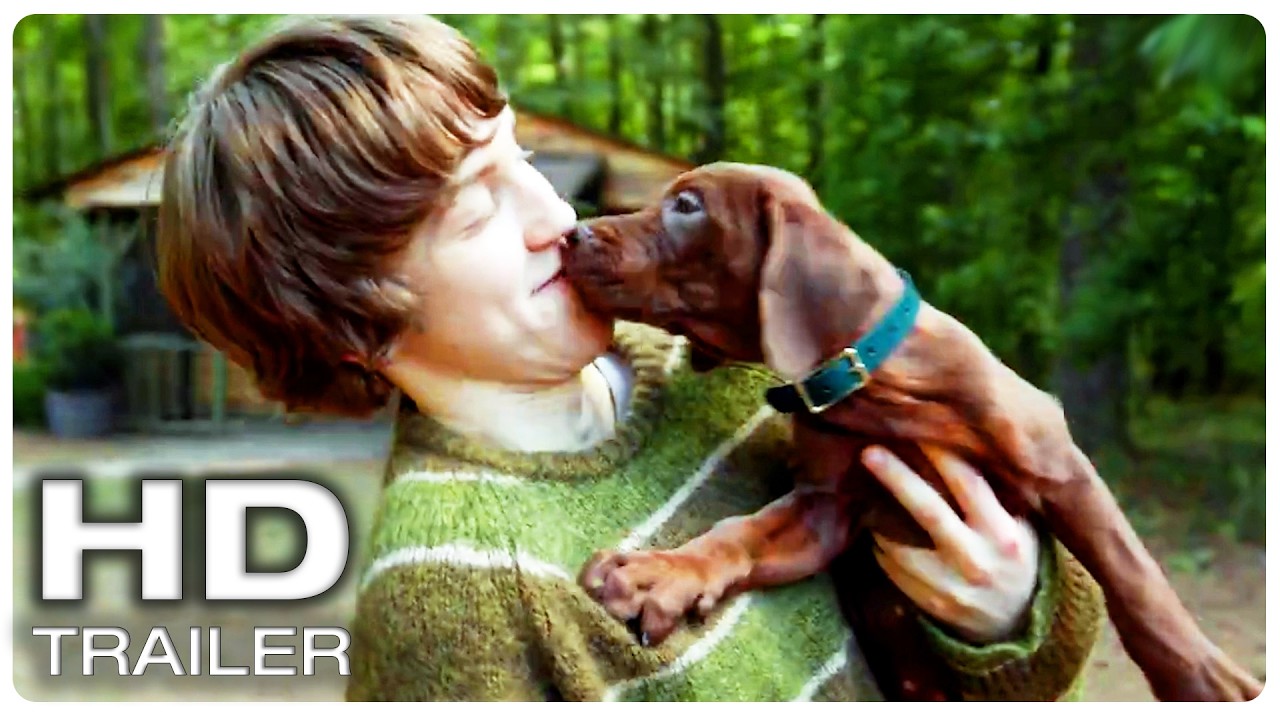 SCOOBY DOO ORIGINS Official Teaser Trailer (NEW 2026)