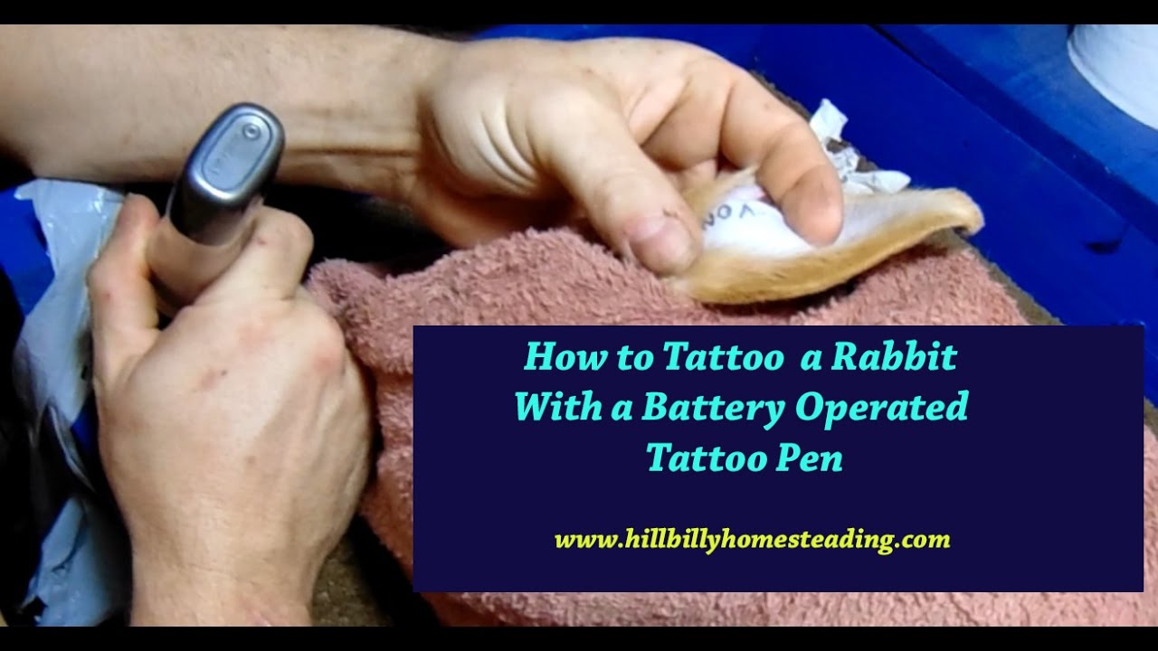 How To Tattoo A Rabbit Getting Ready For A Rabbit Show Youtube
