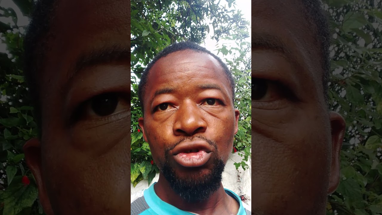 Optimiser la gestion et l'organisation de votre entreprise pour plus de performance