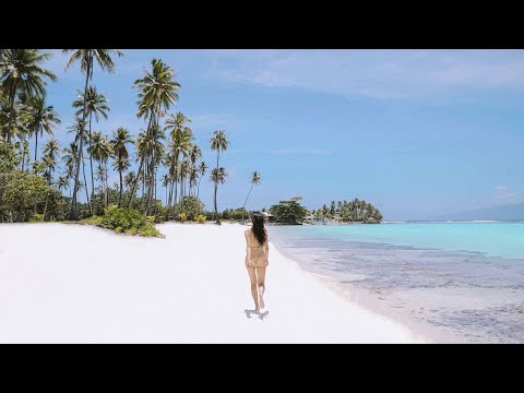 Wideo: Najlepsze plaże na Tahiti Od Moorea do Tuamotu