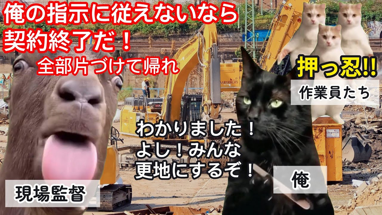 【スカッと猫ミーム】建設現場で下請けの俺を見下す現場監督。指示通り現場を更地にした結果ｗ#猫マニ #猫ミーム