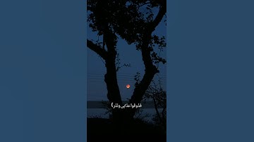 #القارئ_سليمان_عبدالله_النفيسه ♡