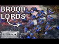 StarCraft 2: NUKES & BROOD LORDS! (Elazer vs HeroMarine)