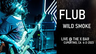 FLUB -  Wild Smoke - LIVE performance @ The X Bar, Cupertino CA