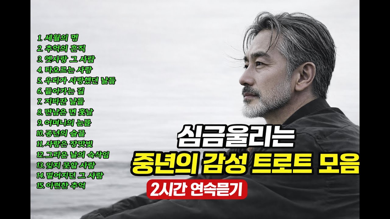 🌙 밤에 들으면 더 아픈 트로트 2시간｜중년을 위한 감성 위로