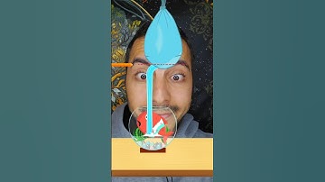 Help cartoon fish brain test puzzle game #game #puzzlegame #puzzle #braintest #iqtest #shortsgame