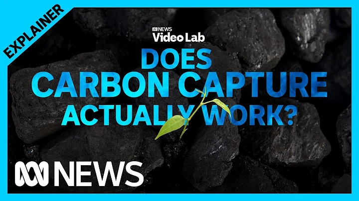 How does carbon capture and storage actually work? | ABC News
