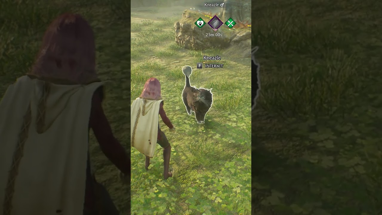 Thank you for naming my Neazles!