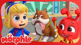 Morphle and Mila Find Out Minding a Dog is RUFF! 🐶 | Morphle&#39;s Family | Kids Cartoons