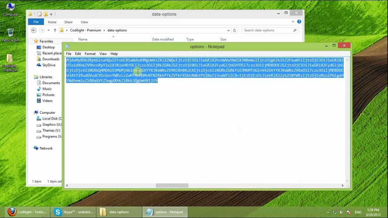 How To Import Theme Options Data