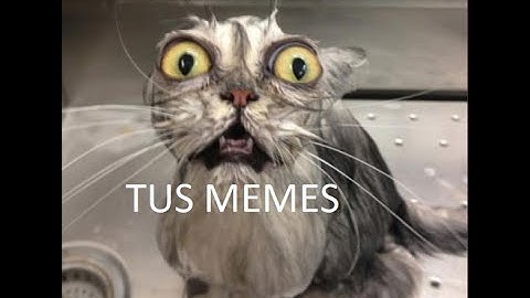 Memes graciosos para reír, divertirse, compartir y reflexionar #2