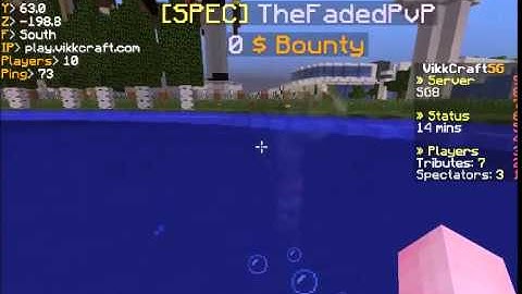 Vikkcraft Hacker Report [No.41]