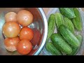 Выращиваем огурцы и томаты #5