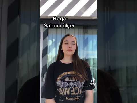 Okulda Kavga Çıkarsa Burçlar