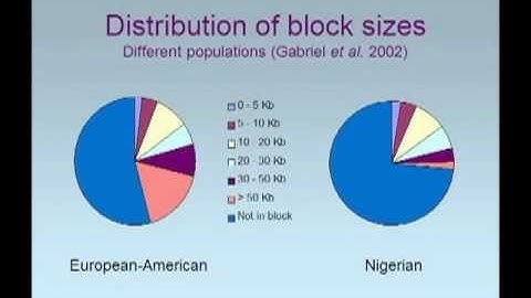 Linkage Disequilibrium and Association Studies in Different Human Populations - Slides Only