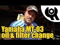 Yamaha MT 03 Oil & filter change #1802