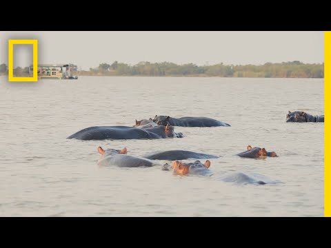 Video: Cele Mai Bune și Cele Mai Rău Destinații, Potrivit National Geographic - Rețeaua Matador